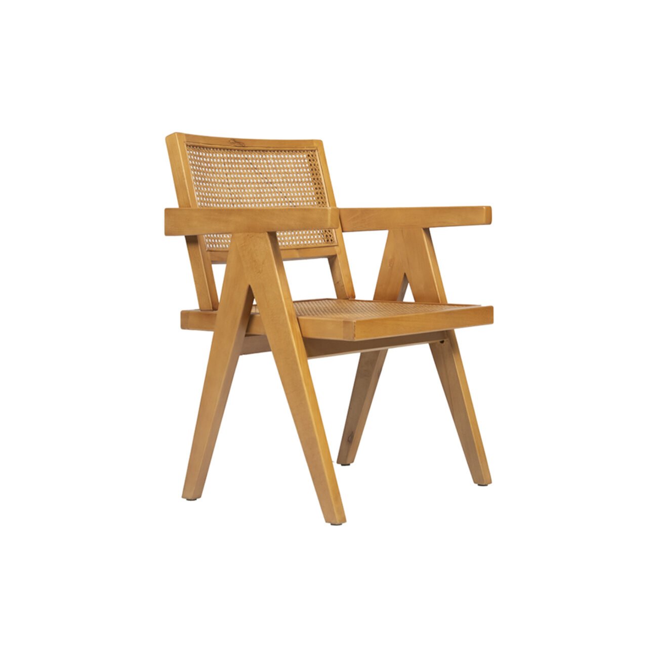 Arlo Rattan Armchair