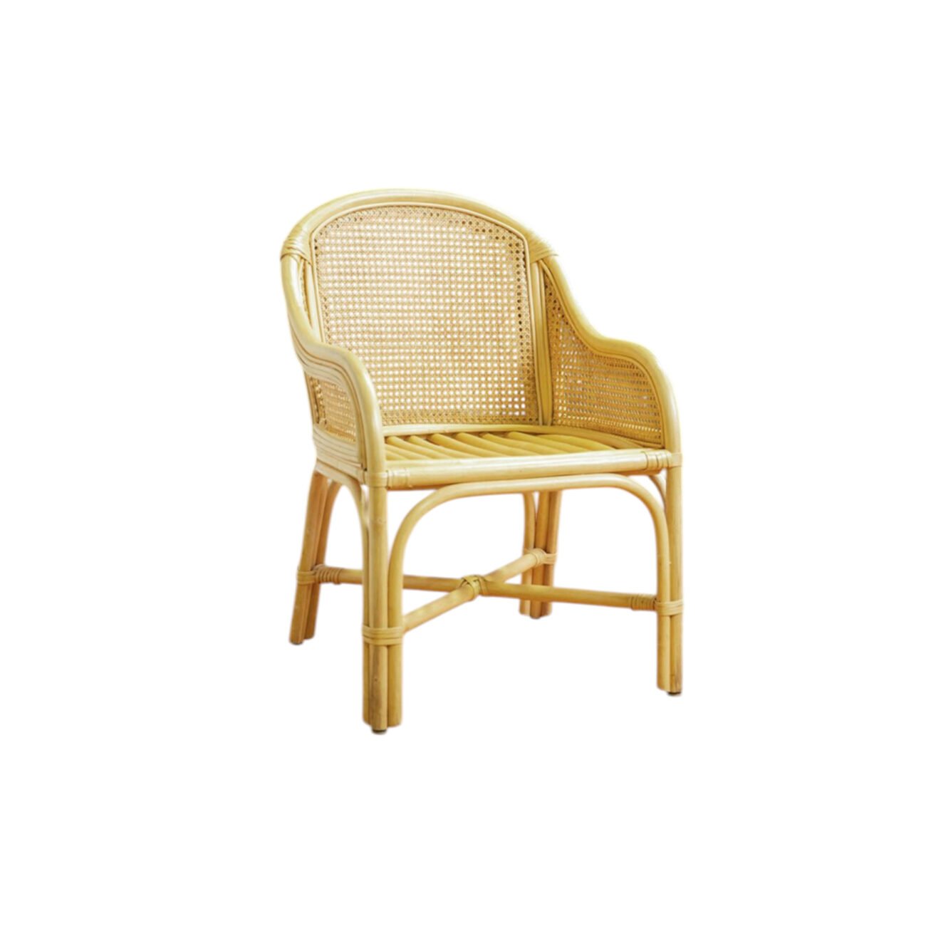 Astra Rattan Armchair